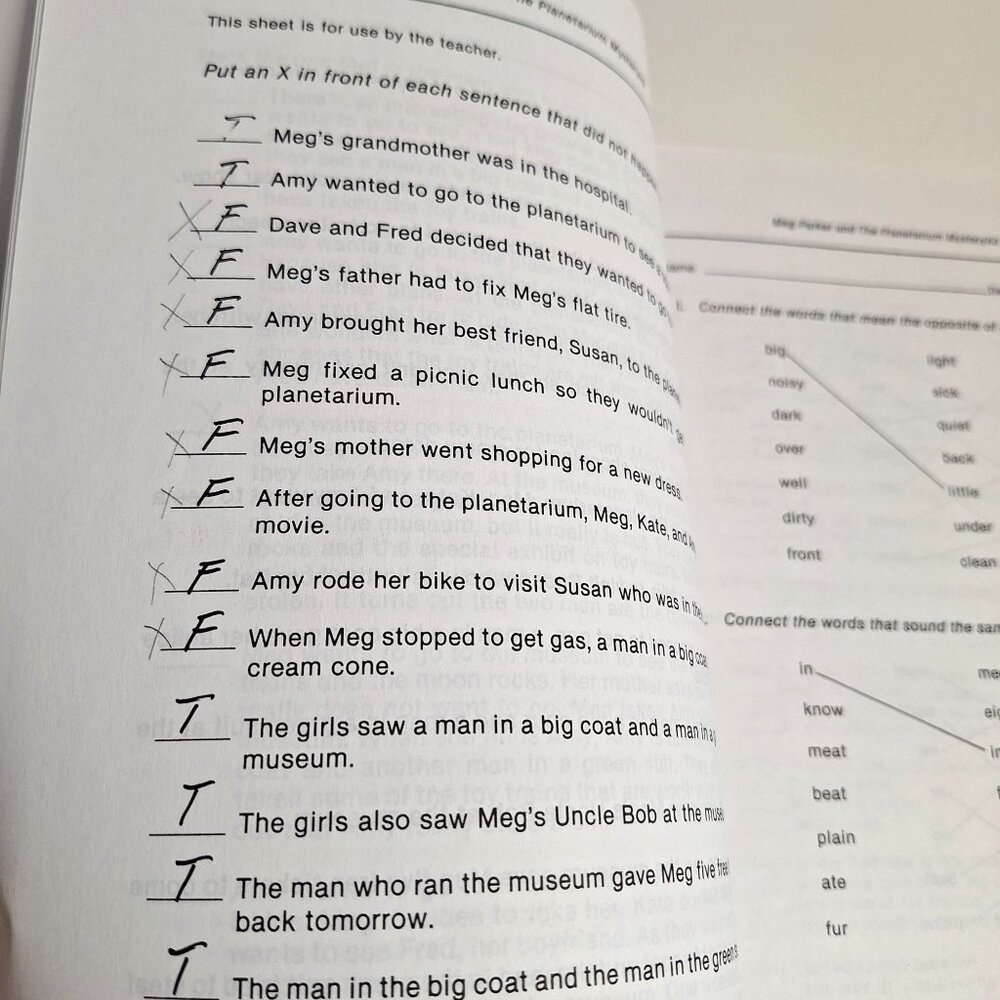 Teachers Edition Activity Worksheets Meg Parker Mystery Set 2 Eleanor Robins - Picture 10 of 12
